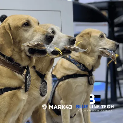 Police K9 dogs with Blue Line Tech and Mark43 branding